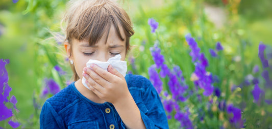 Kind hat Heuschnupfen und putzt sich die Nase