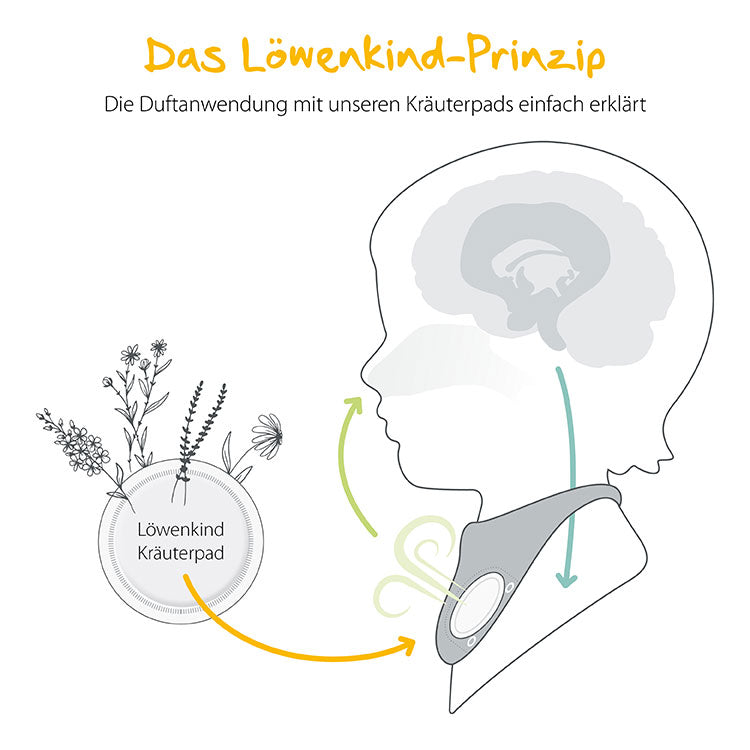 Löwenkind-Prinzip-Illustration