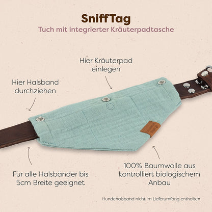 Starkes-Rudel-Special