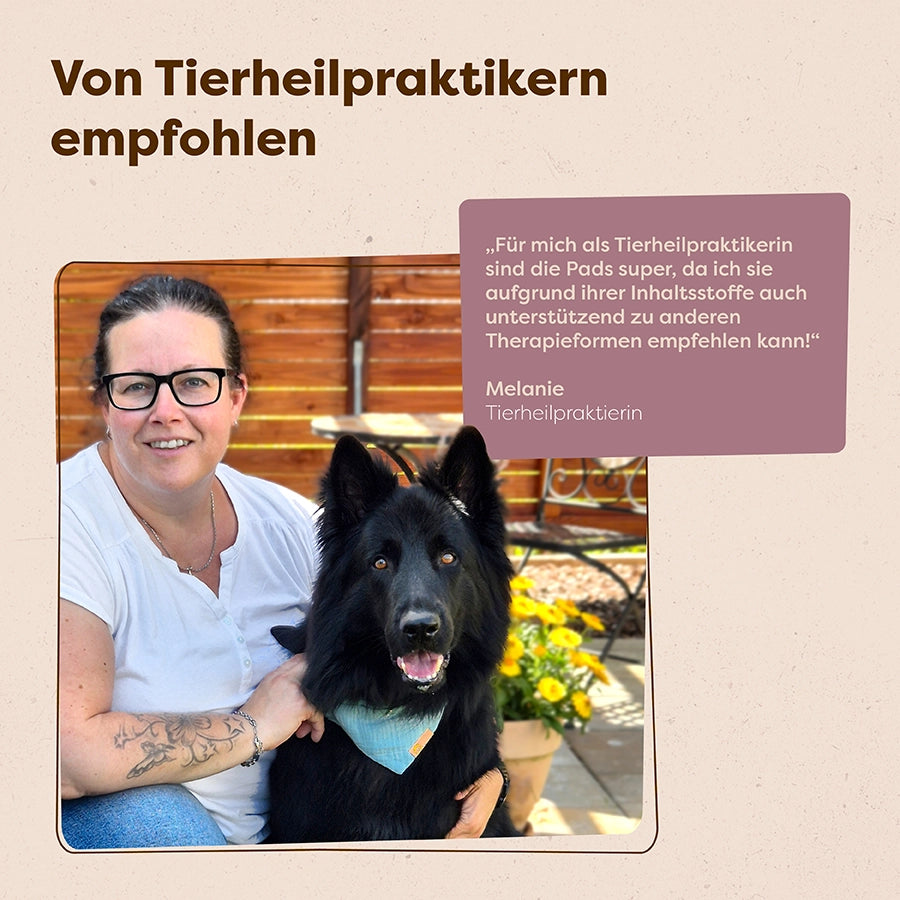 Starkes-Rudel-Special